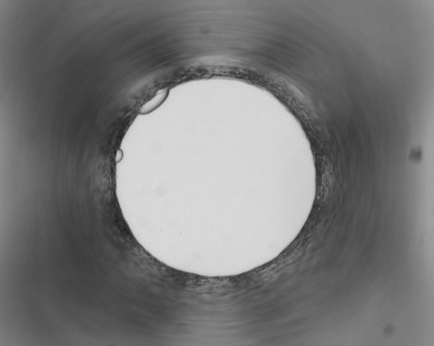 X0000116431062201001191506