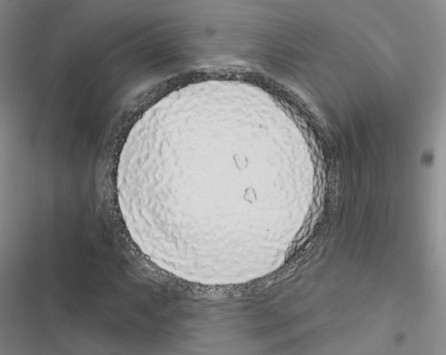 X0000116431063201001191506