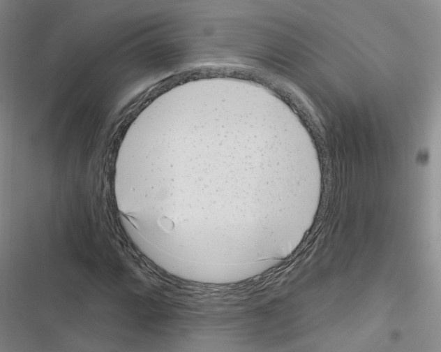 X0000116431064201001191506