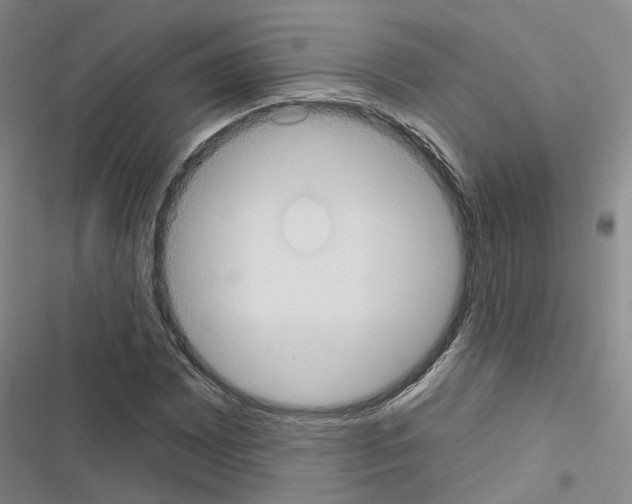 X0000116431065201001191506