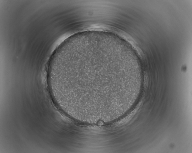 X0000116431066201001191506