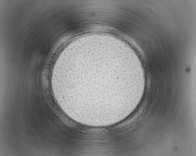 X0000116431067201001191506