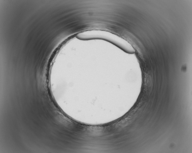 X0000116431068201001191506