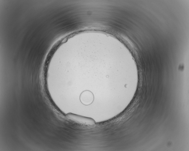 X0000116431072201001191506
