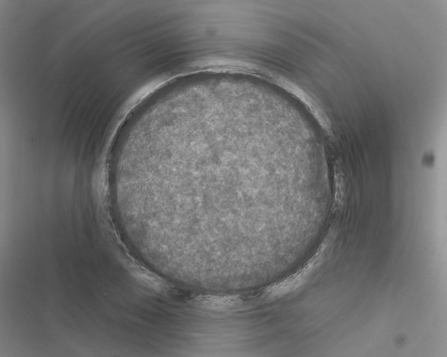 X0000116431074201001191506