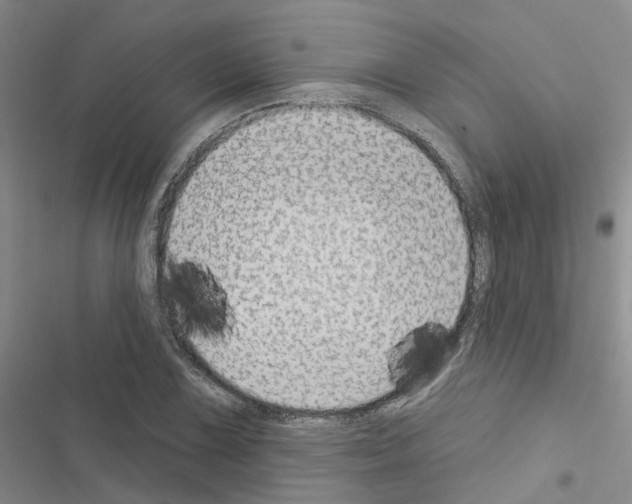 X0000116431075201001191506