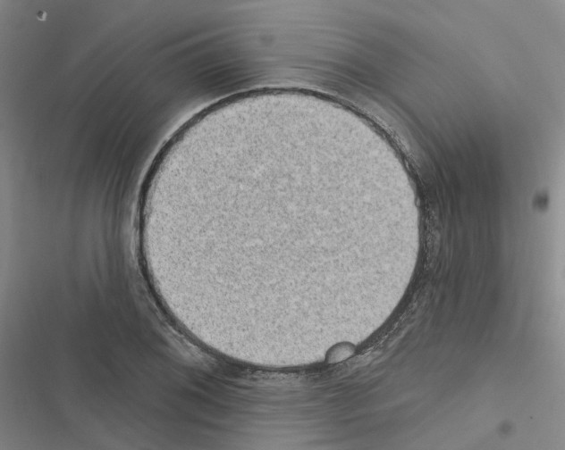 X0000116431076201001191506