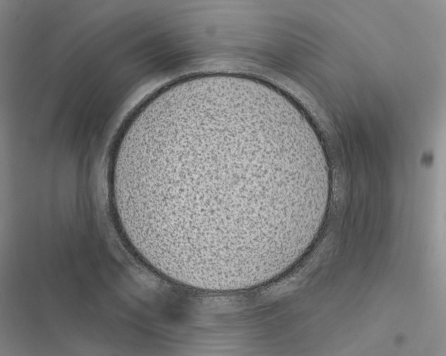 X0000116431078201001191506
