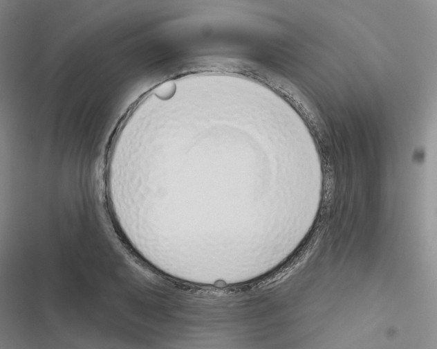X0000116431079201001191506