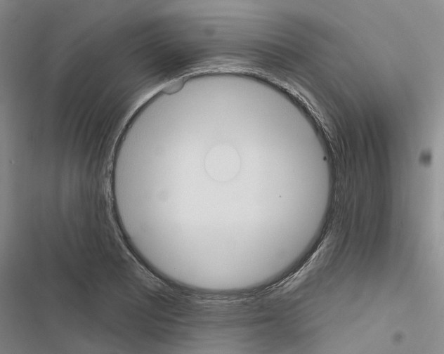 X0000116431081201001191506