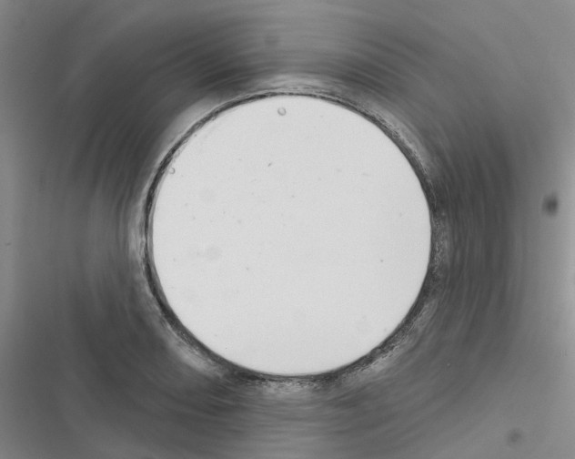 X0000116431082201001191506
