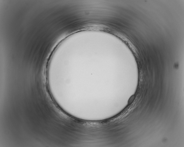 X0000116431083201001191506