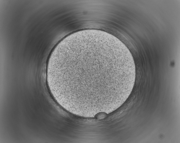 X0000116431084201001191506