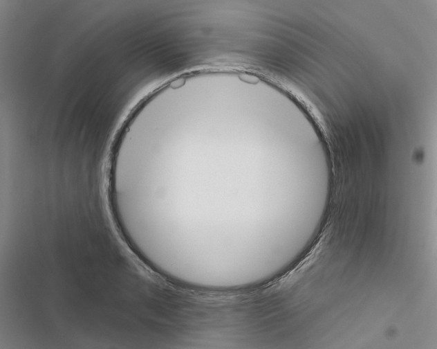X0000116431085201001191506