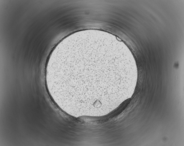 X0000116431088201001191506
