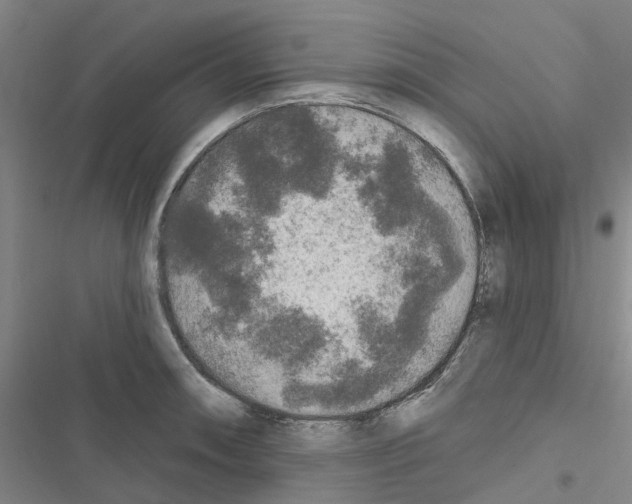 X0000116431090201001191506