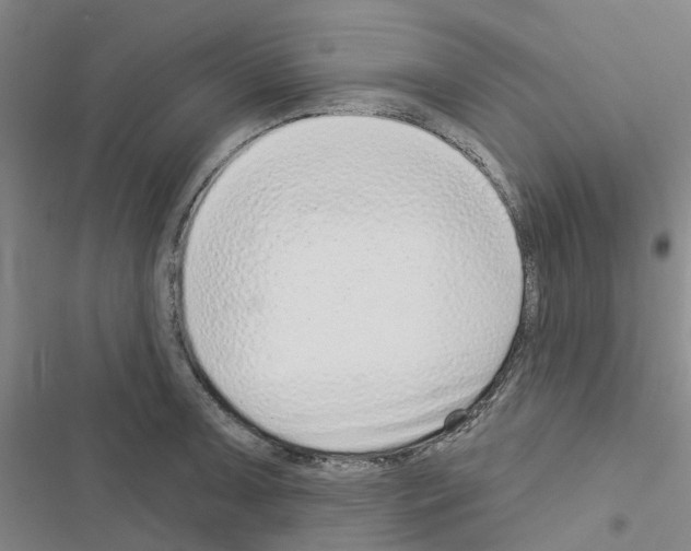 X0000116431091201001191506