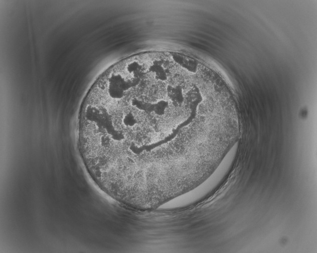 X0000116431095201001191506
