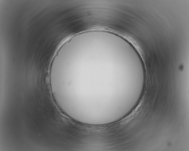 X0000116431097201001191506