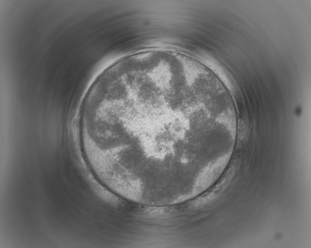 X0000116431098201001191506