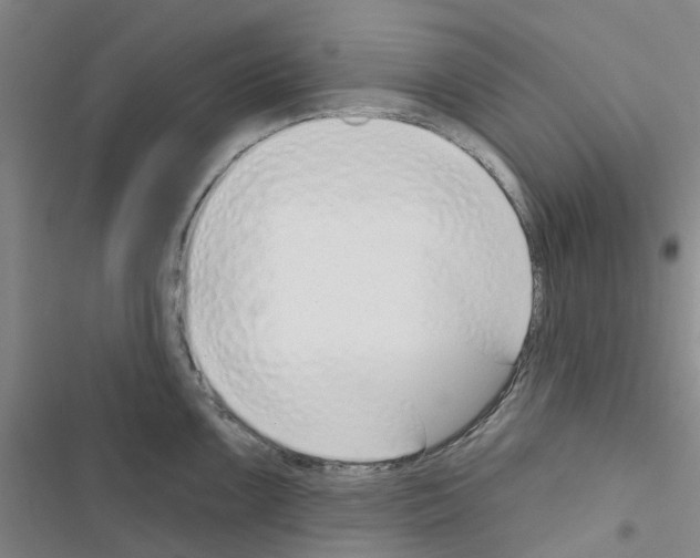 X0000116431099201001191506