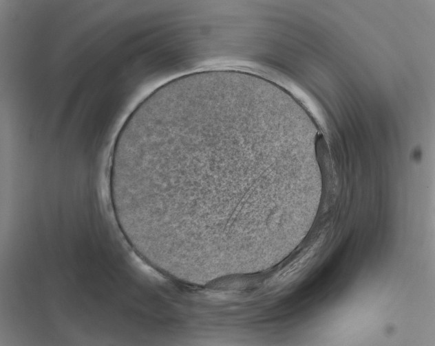 X0000116431102201001191505