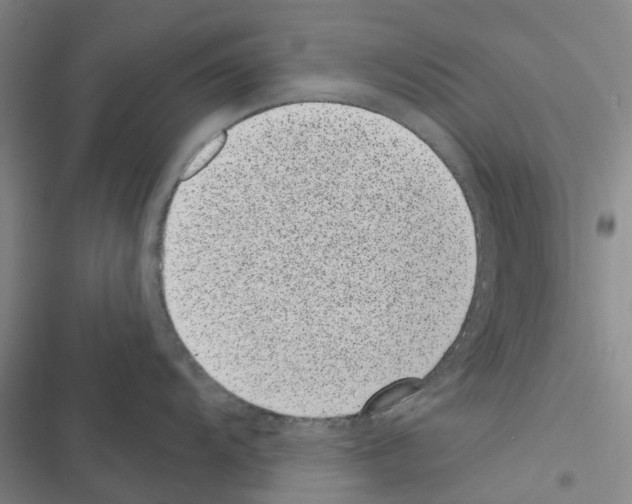 X0000116431104201001191505