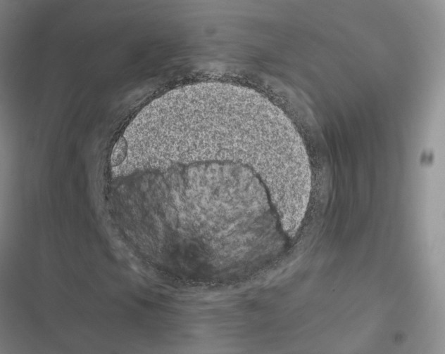 X0000116431105201001191505