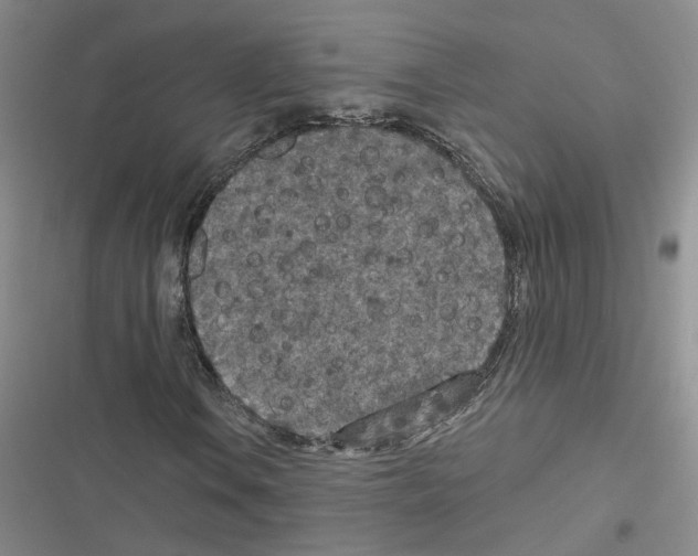 X0000116431106201001191505