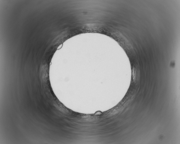 X0000116431107201001191505