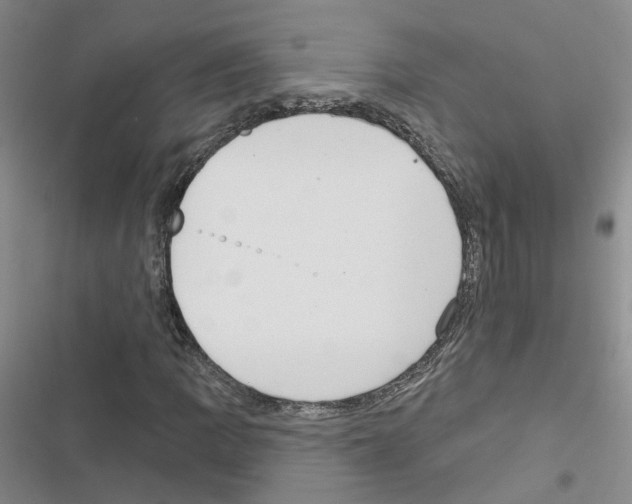 X0000116431109201001191505
