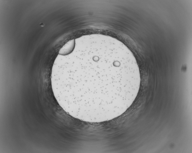 X0000116431110201001191505