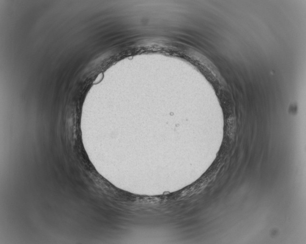 X0000116431111201001191505