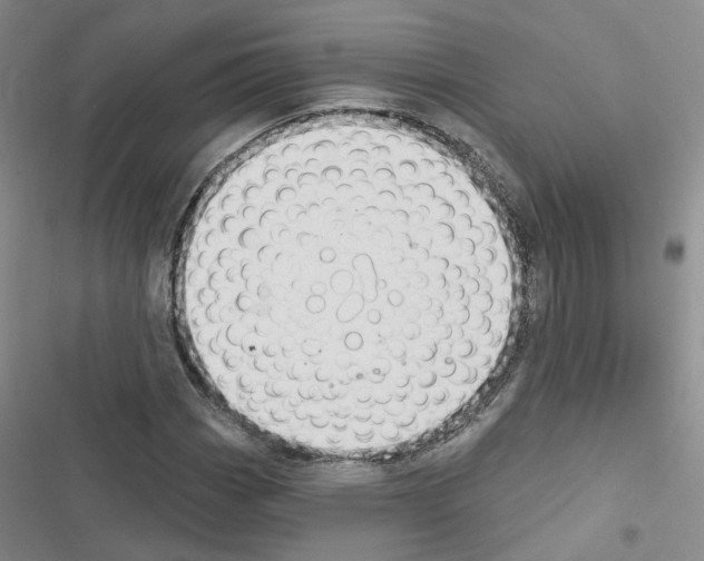 X0000116431113201001191505