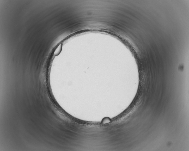 X0000116431114201001191505