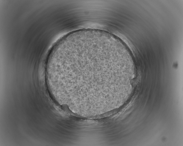 X0000116431115201001191505