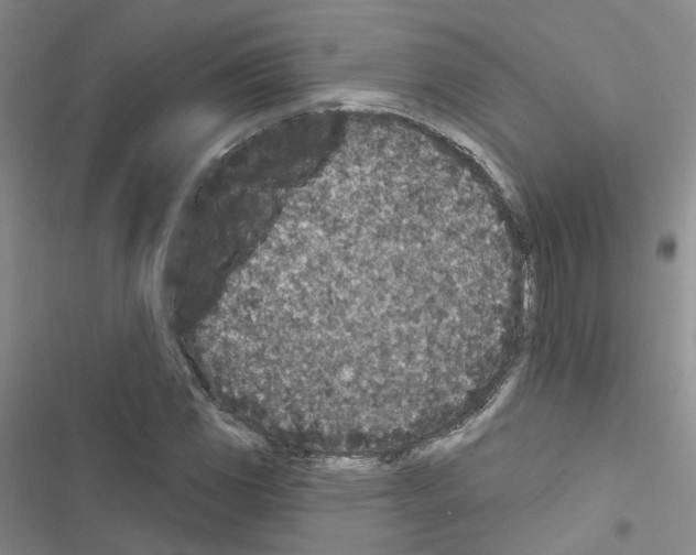 X0000116431117201001191505