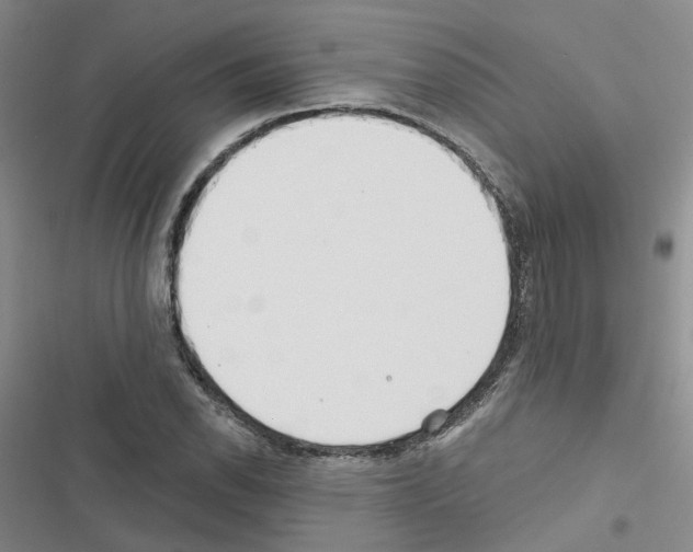 X0000116431118201001191505