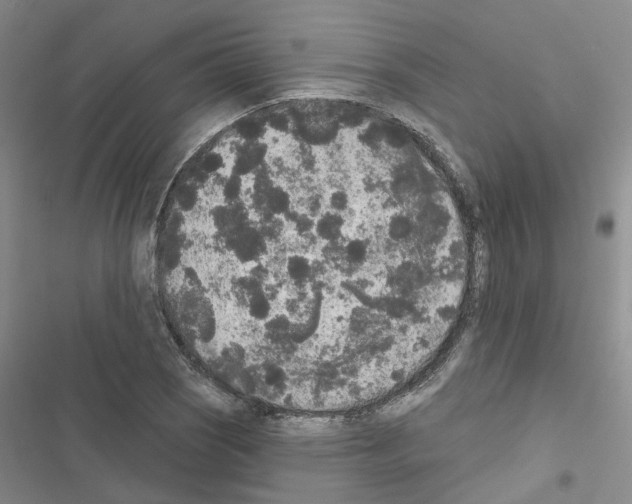X0000116431121201001191505