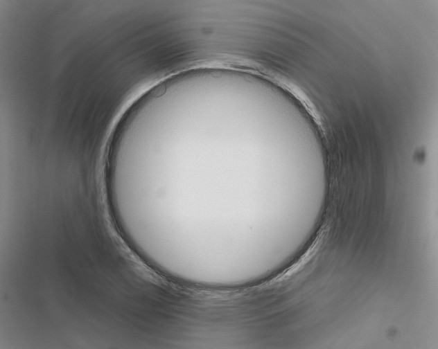 X0000116431122201001191505