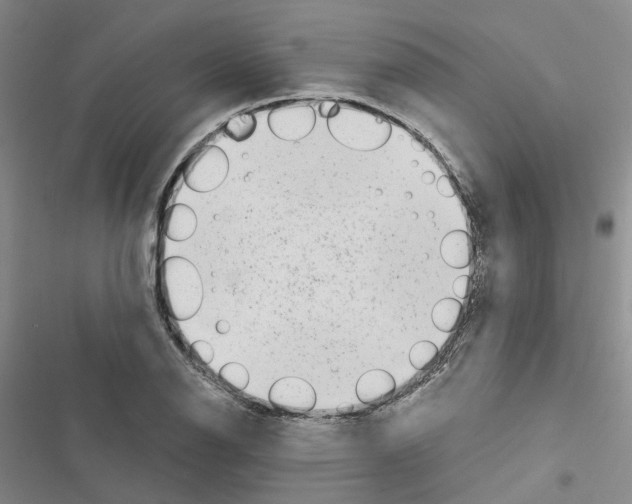 X0000116431126201001191505