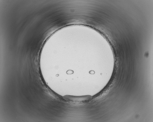 X0000116431129201001191505