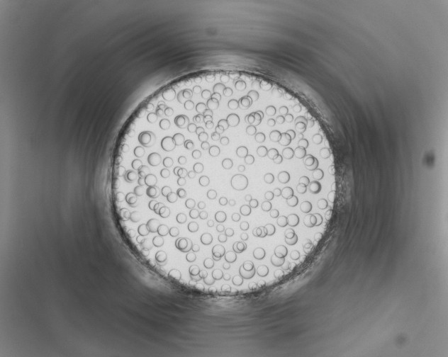 X0000116431130201001191505
