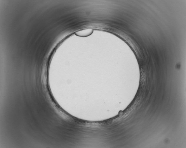 X0000116431131201001191505