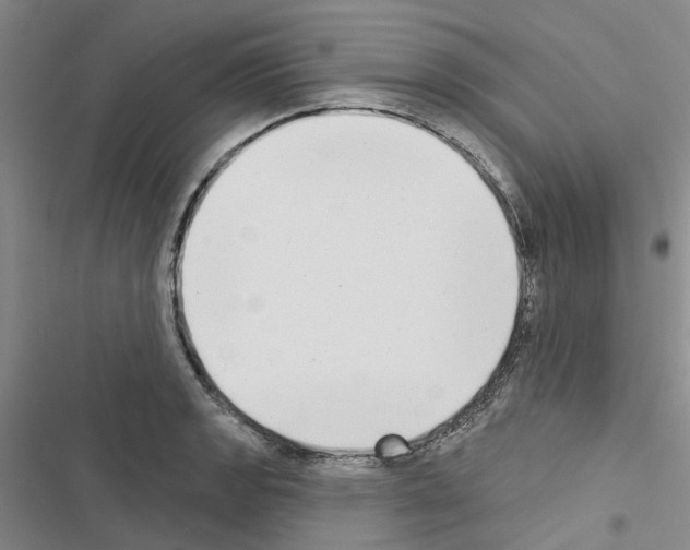 X0000116431133201001191505