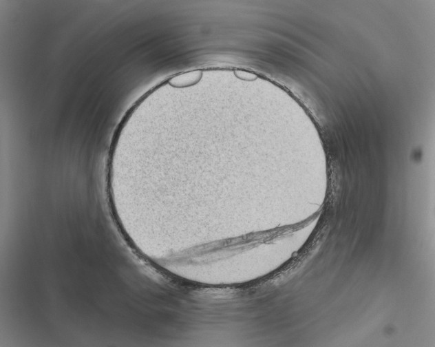 X0000116431134201001191505