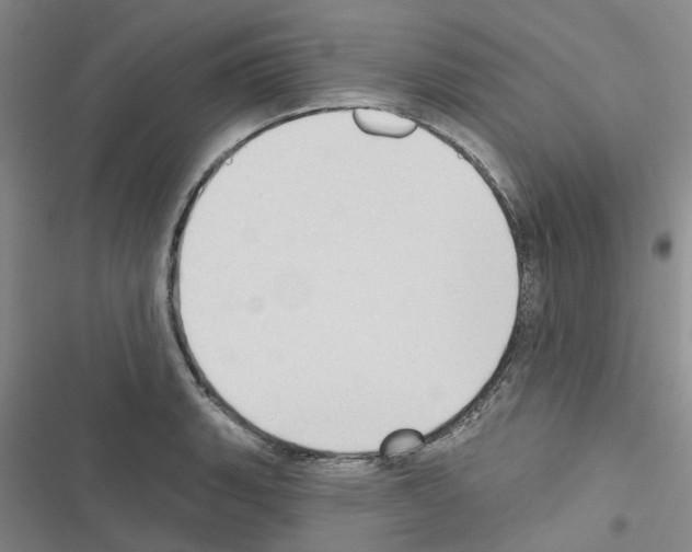 X0000116431135201001191505