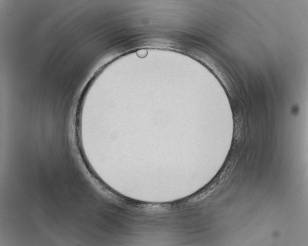 X0000116431139201001191505