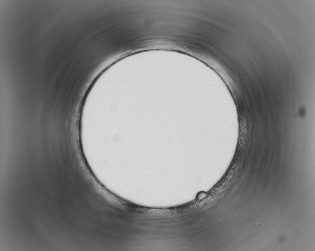 X0000116431142201001191505