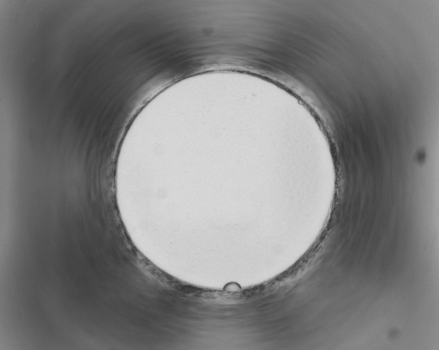 X0000116431145201001191505